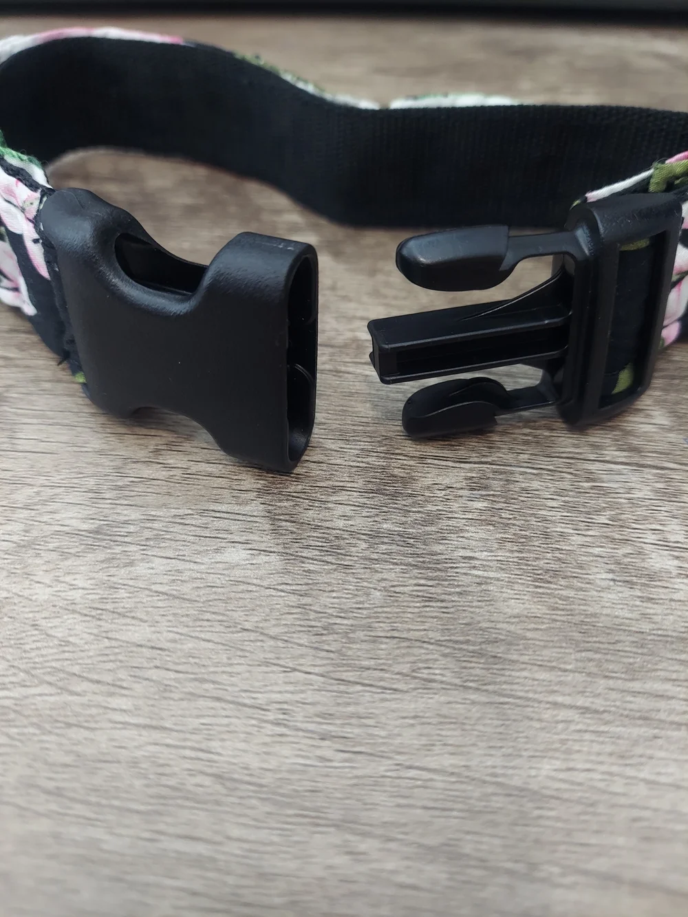 Custom Side-Release Dog Collar 1